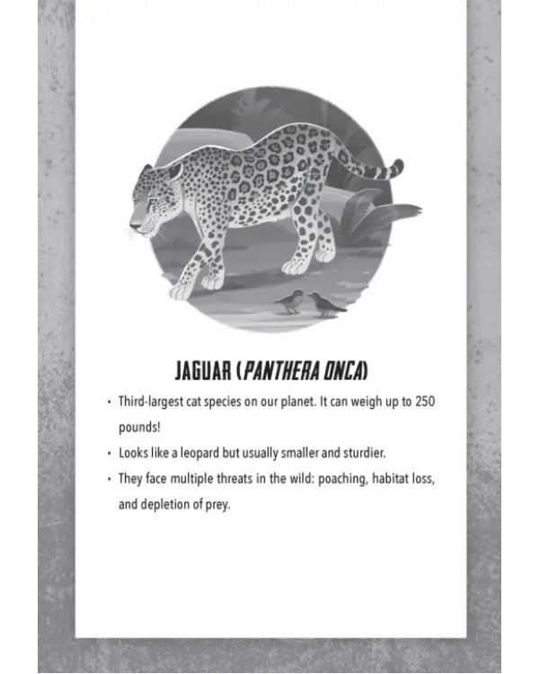 Chasing Jaguars