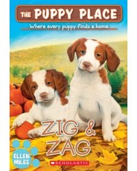 Zig &amp; Zag