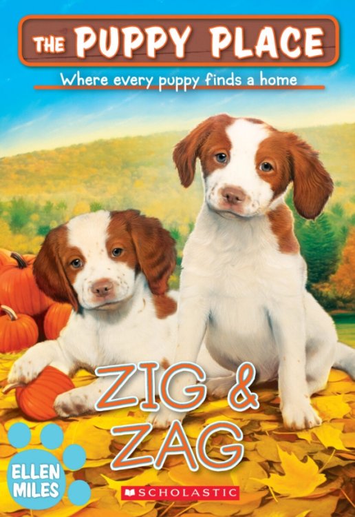 Zig &amp; Zag