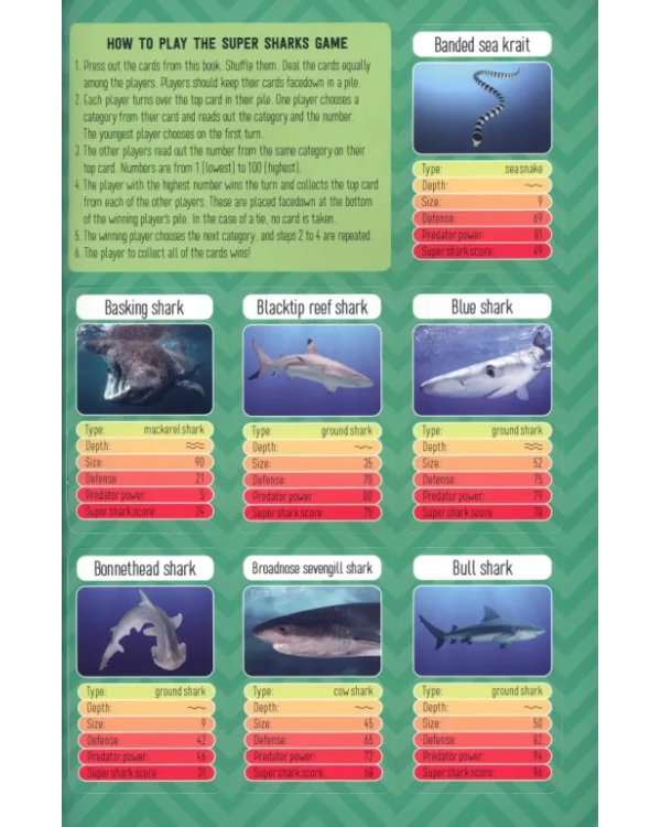 Quick Smarts Sharks Workbook