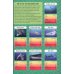 Quick Smarts Sharks Workbook
