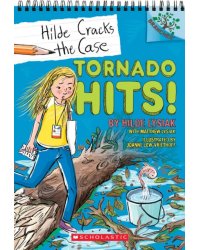 Tornado Hits!