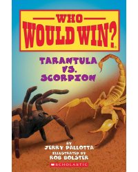 Who Would Win? Tarantula vs. Scorpion