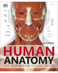 Human Anatomy