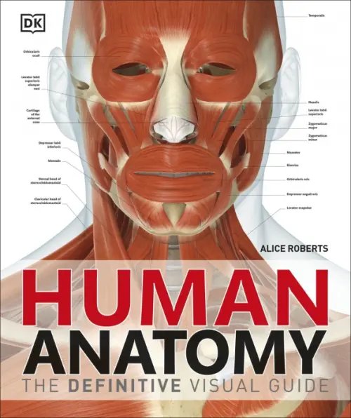 Human Anatomy Human Anatomy