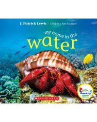 My Home In The Water