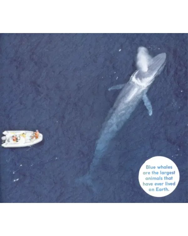 Дополнительное изображение книги «My Home In The Water»