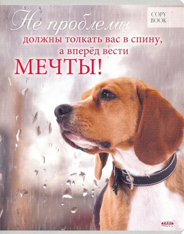 Тетрадь Мотивация, 48 листов, А5, в ассортименте