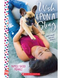 Wish Upon a Stray