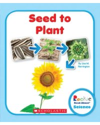 Seed to Plant