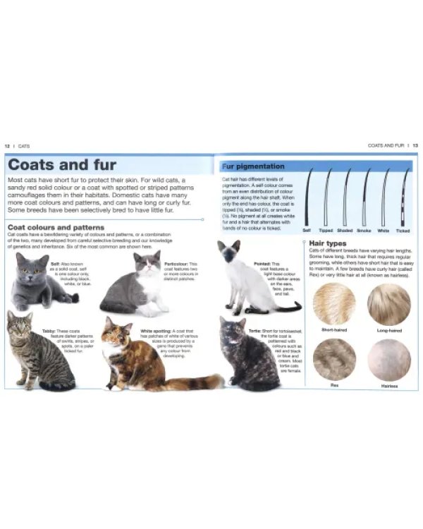 Cats
