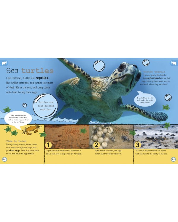 My Encyclopedia of Very Important Animals