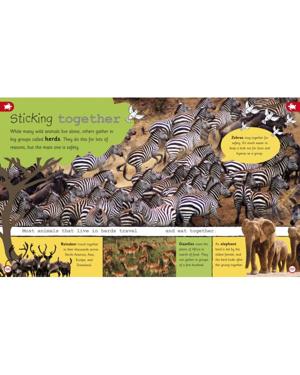 My Encyclopedia of Very Important Animals