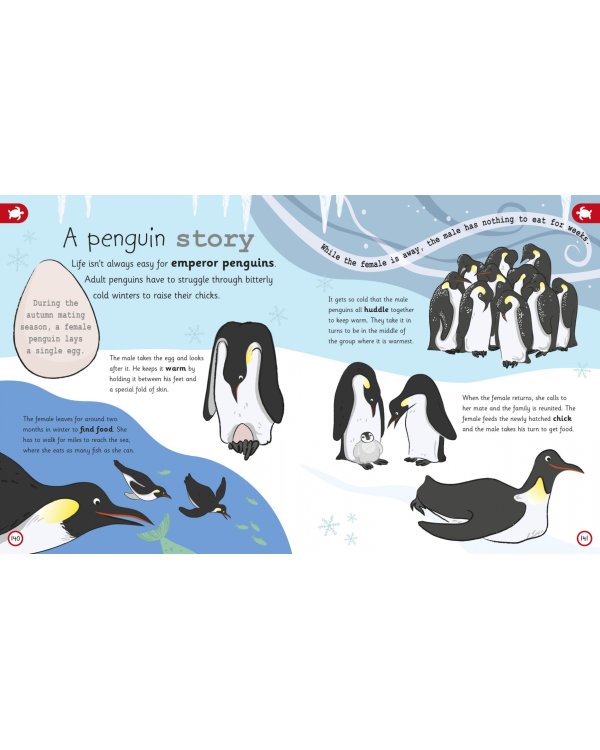 My Encyclopedia of Very Important Animals