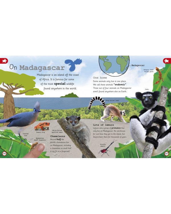My Encyclopedia of Very Important Animals