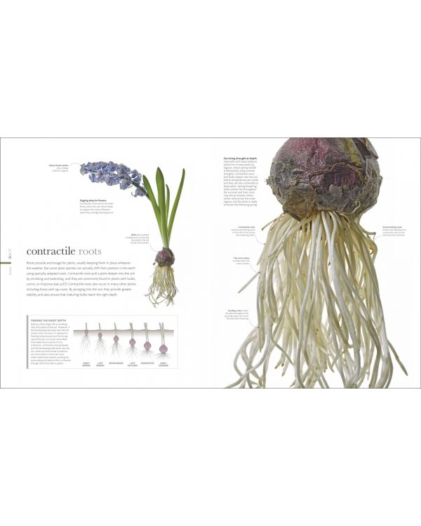 The Science of Plants. Inside their Secret World