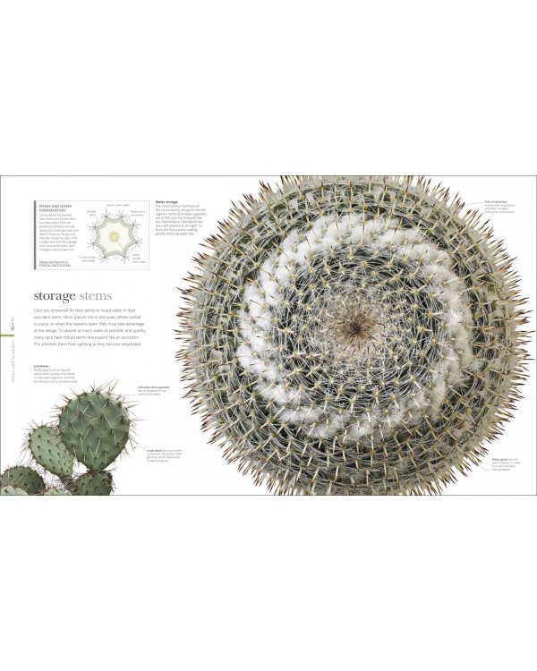 The Science of Plants. Inside their Secret World