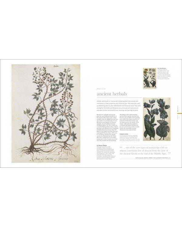 The Science of Plants. Inside their Secret World