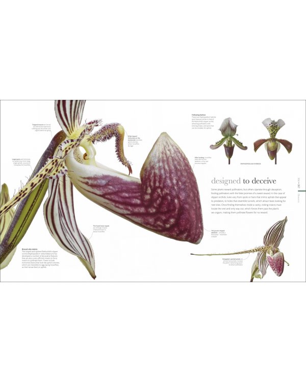 The Science of Plants. Inside their Secret World