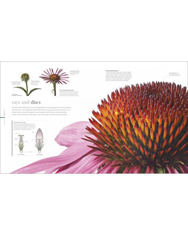 The Science of Plants. Inside their Secret World