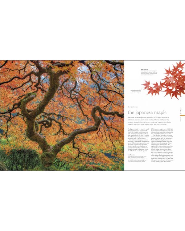 The Science of Plants. Inside their Secret World