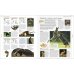 Animal. The Definitive Visual Guide