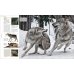 Animal. The Definitive Visual Guide