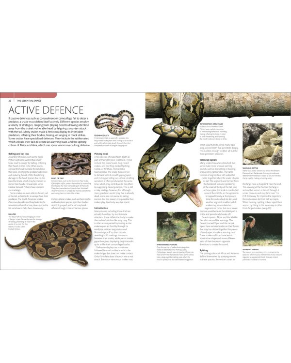 Snake. The Essential Visual Guide