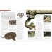 Snake. The Essential Visual Guide