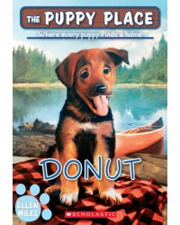 Donut