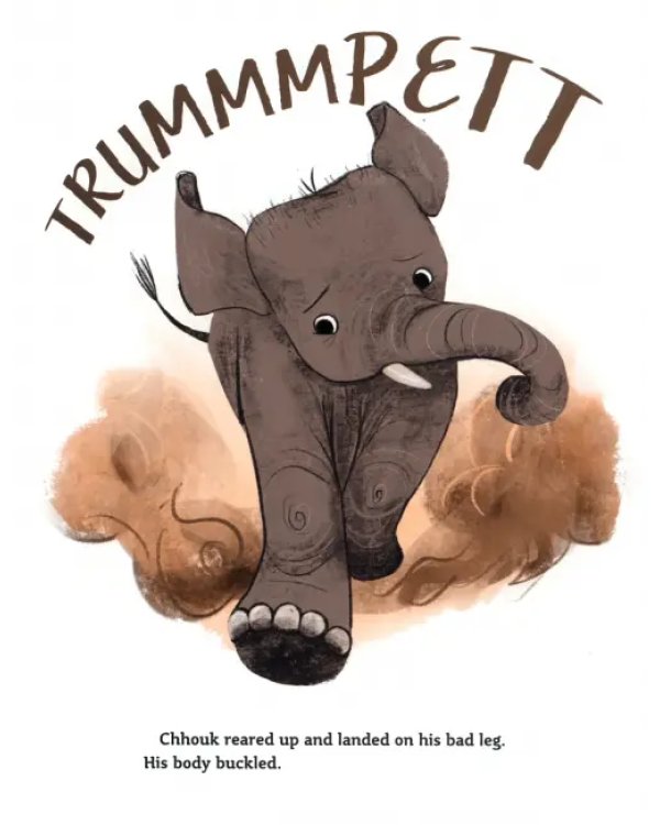 The Elephant's New Shoe