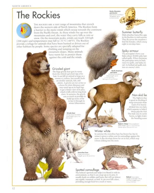 Дополнительное изображение книги «Animal Atlas. A Pictorial Guide to the World's»