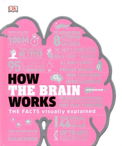 How the Brain Works