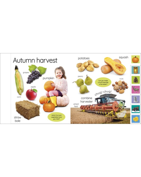 My First Seasons. Let's Learn About the Year!