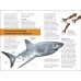Дополнительное изображение книги «Mega Bites. Sharks. Riveting Reads for Curious Kids»
