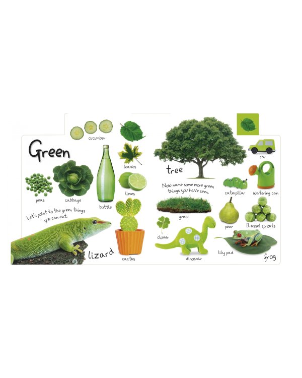 My First Colours. Let's Learn Them All