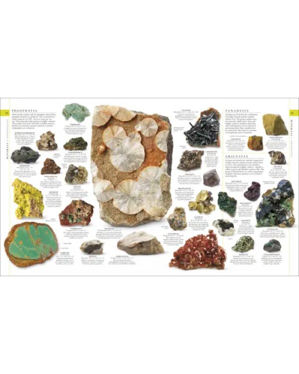 The Natural History Book. The Ultimate Visual Guide to Everything on Earth