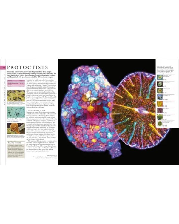 The Natural History Book. The Ultimate Visual Guide to Everything on Earth