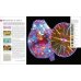 The Natural History Book. The Ultimate Visual Guide to Everything on Earth