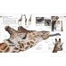 The Natural History Book. The Ultimate Visual Guide to Everything on Earth