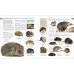 The Natural History Book. The Ultimate Visual Guide to Everything on Earth