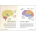 Simply The Brain