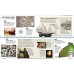 History Year by Year. A Journey Through Time, From Mammoths And Mummies To Flying And Facebook