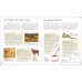 Myths &amp; Legends. An Illustrated Guide to Their Origins and Meanings