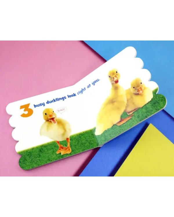 5 Busy Ducklings
