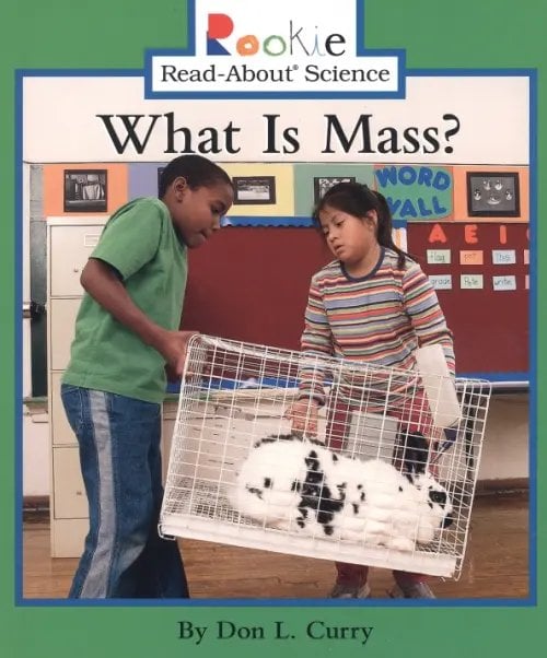 What Is Mass?
