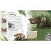 Дополнительное изображение книги «Children's Book of Mythical Beasts and Magical Monsters»