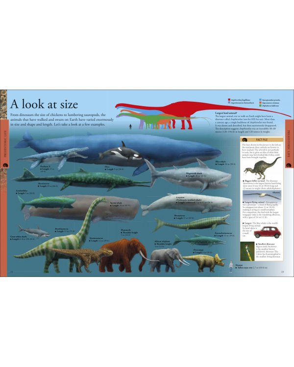 Dinosaurs. A Children's Encyclopedia