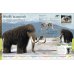 Dinosaurs. A Children's Encyclopedia