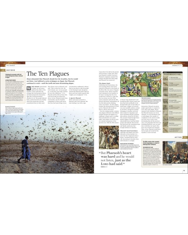 Bible Stories. The Illustrated Guide